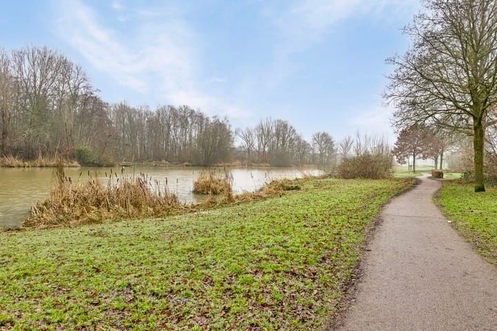 Foto 21 van de Ververt 1264