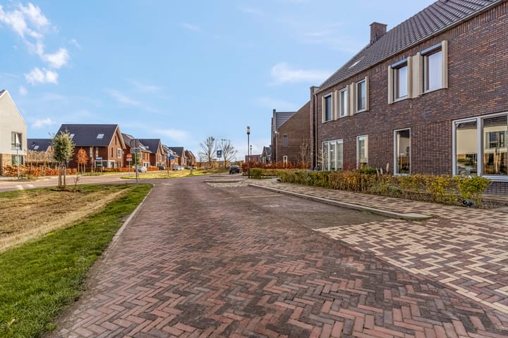 Foto 5 van Op de set 42