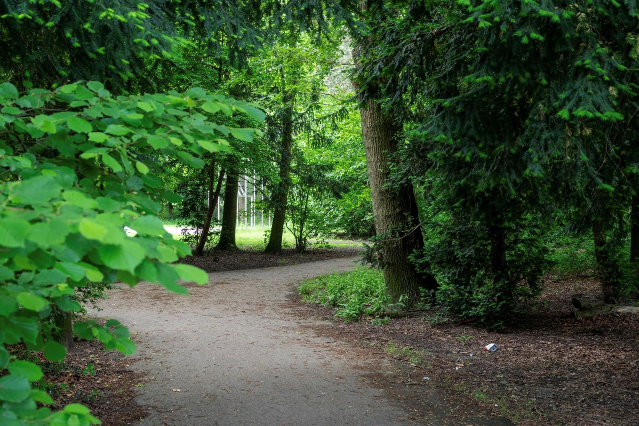 Foto 54 van Burgemeester Knappertlaan 263-A