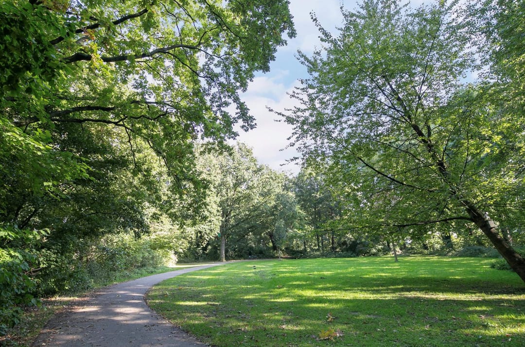 Foto 56 van Burgemeester Knappertlaan 263-A