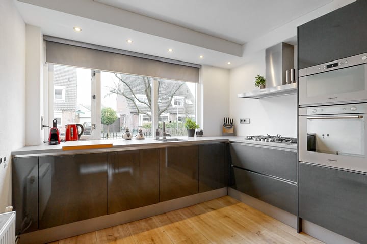 Foto 2 van Plevier 62