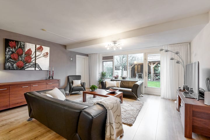 Foto 3 van Plevier 62