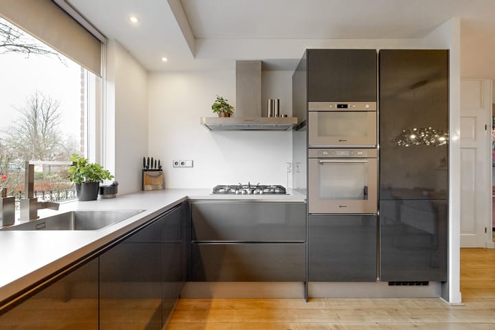 Foto 9 van Plevier 62