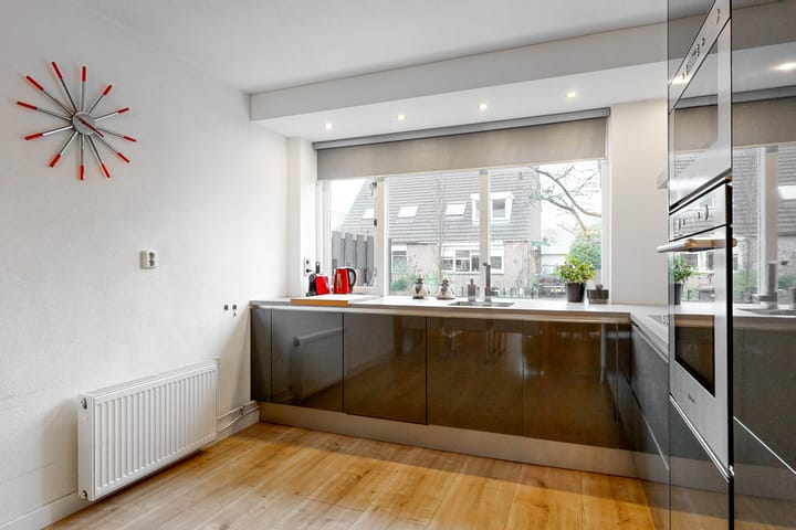 Foto 10 van Plevier 62