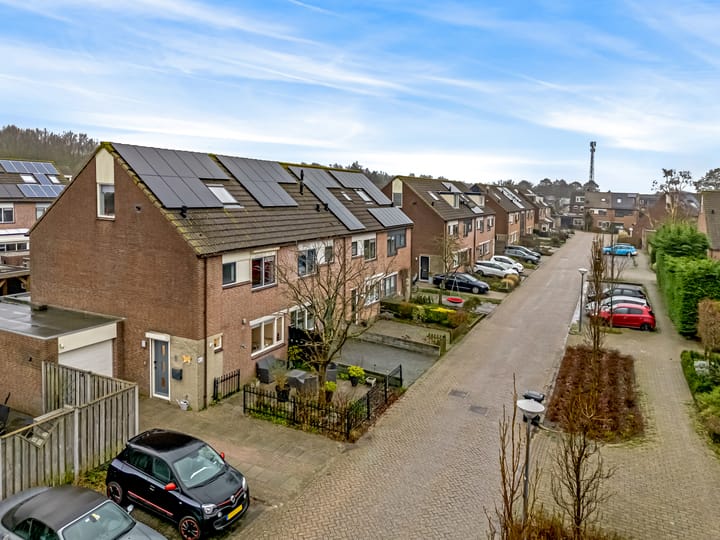 Foto 34 van Plevier 62