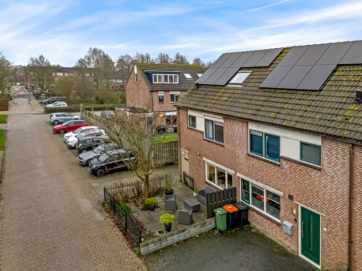 Foto 35 van Plevier 62