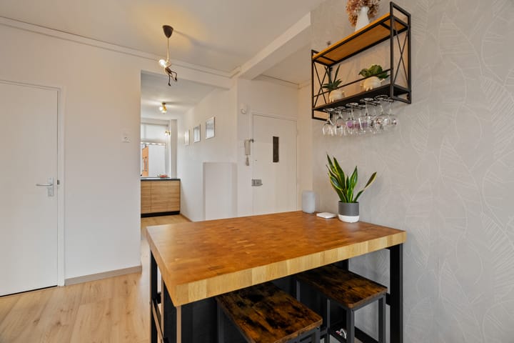 Foto 10 van Vasaristraat 110