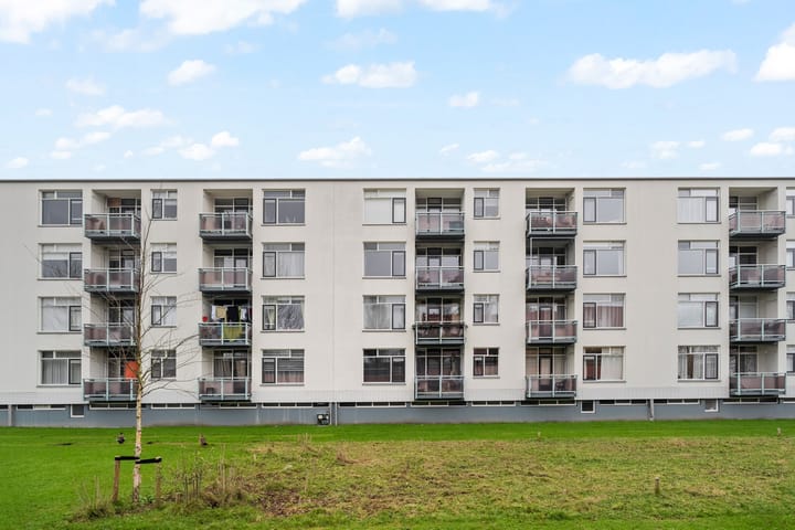 Foto 21 van Vasaristraat 110