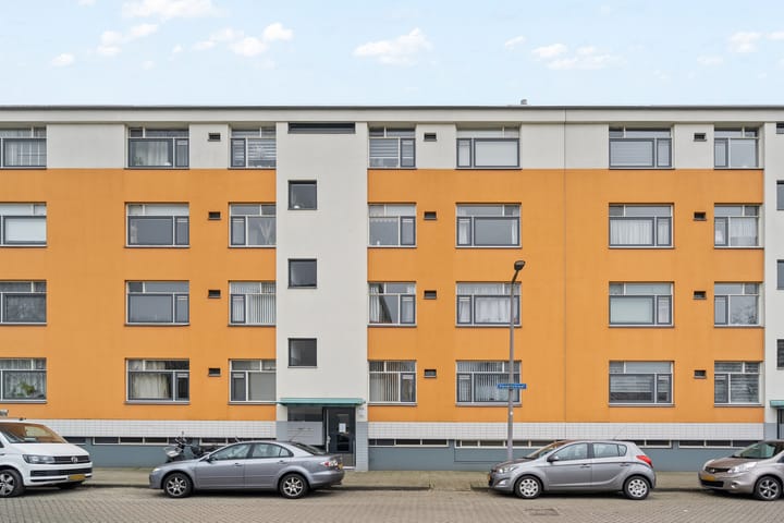 Foto 25 van Vasaristraat 110