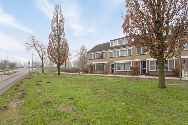 Foto 25 van Graan voor Visch 14901