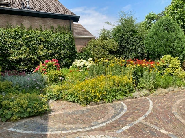 Foto 20 van Nooit Gedacht 12