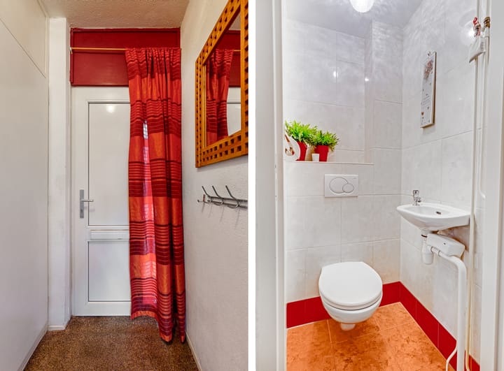 Foto 5 van Pinksterbloem 61