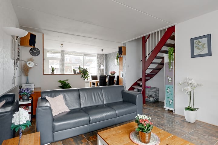 Foto 6 van Pinksterbloem 61