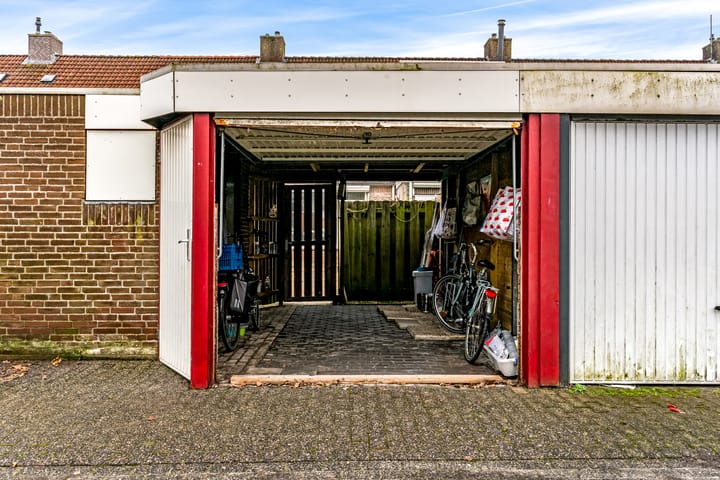 Foto 27 van Pinksterbloem 61