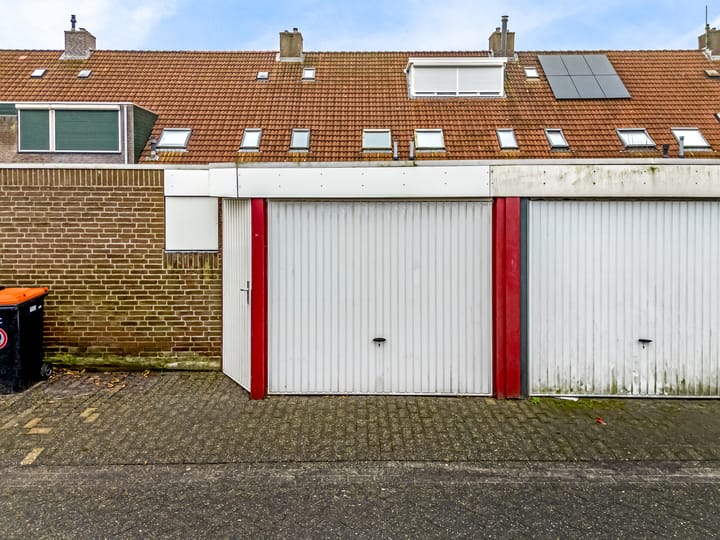 Foto 29 van Pinksterbloem 61