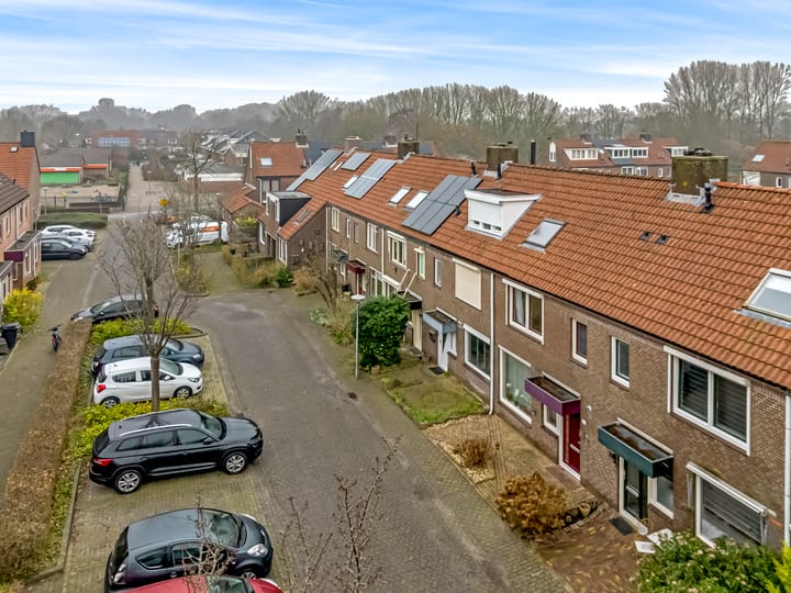 Foto 31 van Pinksterbloem 61