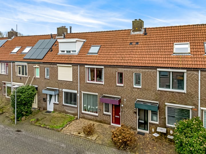 Foto 32 van Pinksterbloem 61