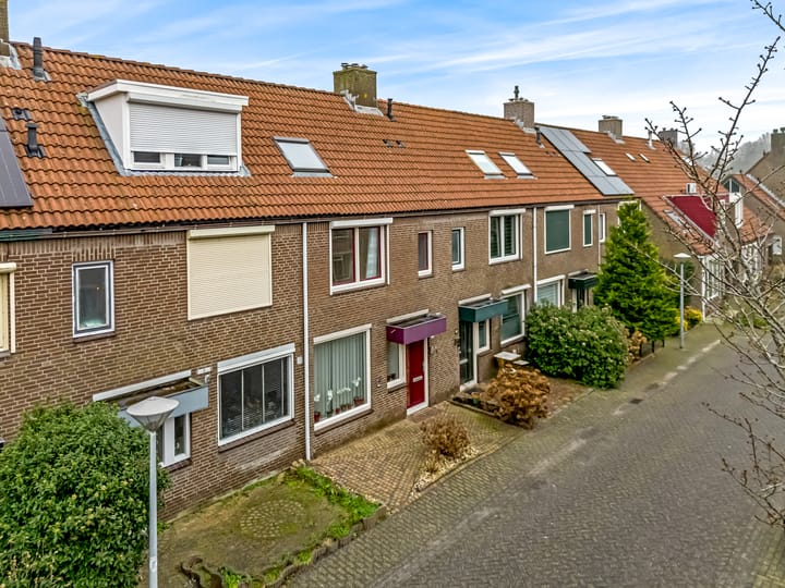 Foto 33 van Pinksterbloem 61