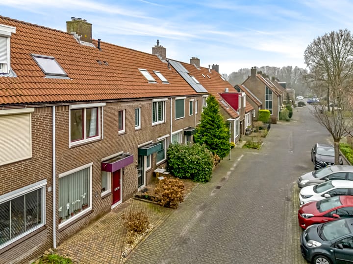 Foto 34 van Pinksterbloem 61