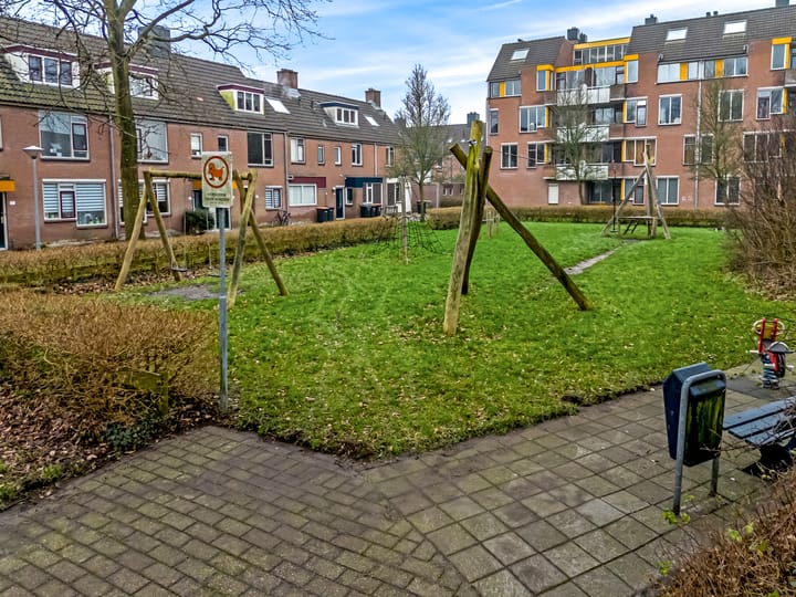 Foto 36 van Pinksterbloem 61