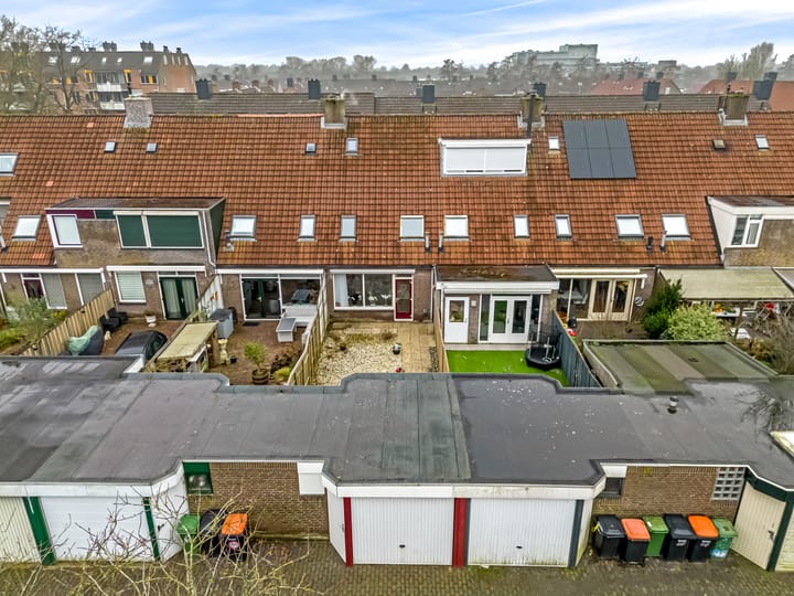 Foto 30 van Pinksterbloem 61