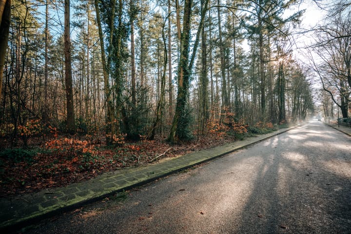 Foto 26 van Ramaerlaan 3