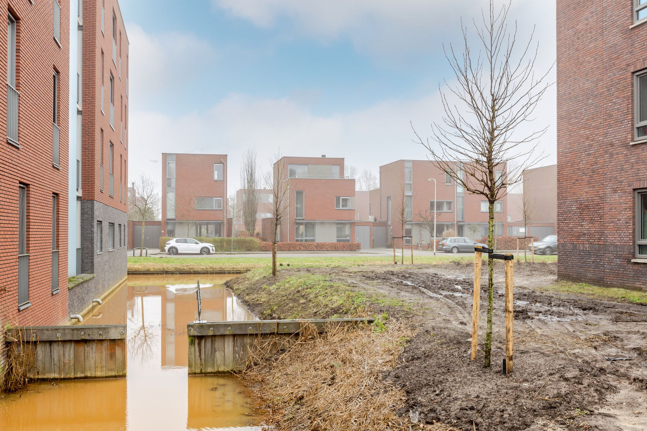 Photo 48 of Nicolaas Beetslaan 29