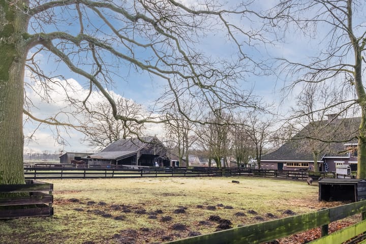 Foto 28 van Pimpelmeesstraat 12