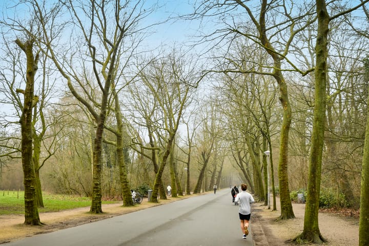 Foto 18 van Rhijnvis Feithstraat 24-B