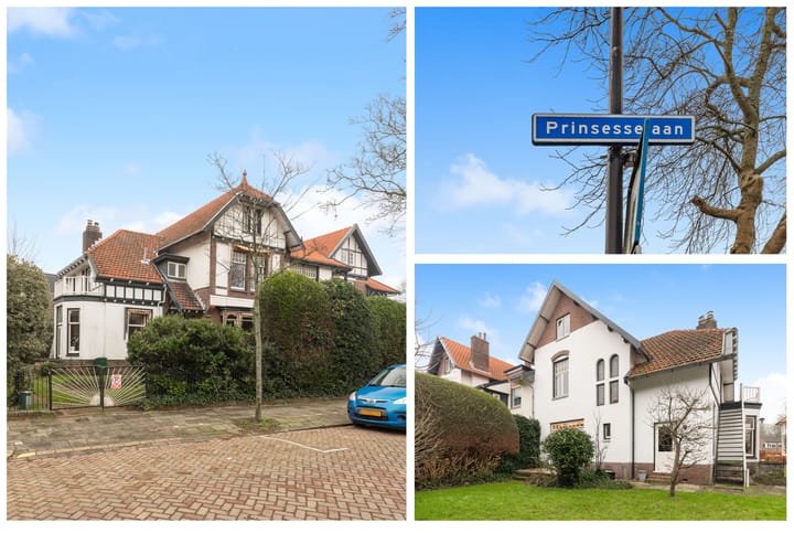 Foto 2 van Prinsesselaan 7