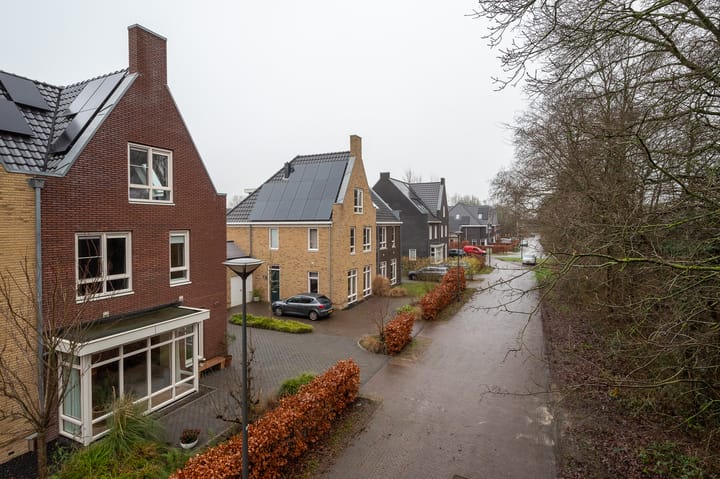 Foto 7 van Essenlande 40