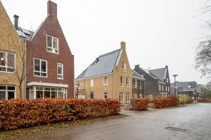 Foto 10 van Essenlande 40