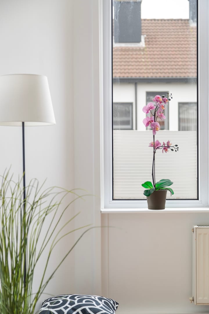 Photo 10 of Vliegwielstraat 24-A