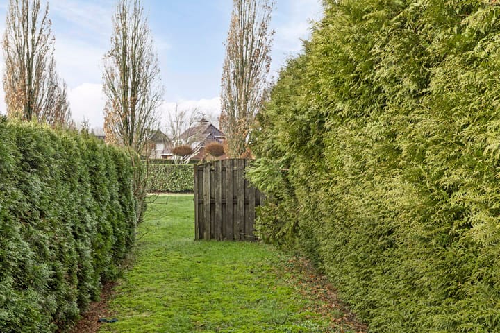 Foto 39 van Bovenlanden 16