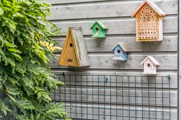 Foto 33 van Dalidastraat 26