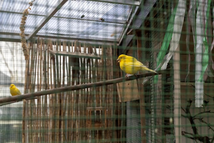 Photo 30 of Meestoof 6