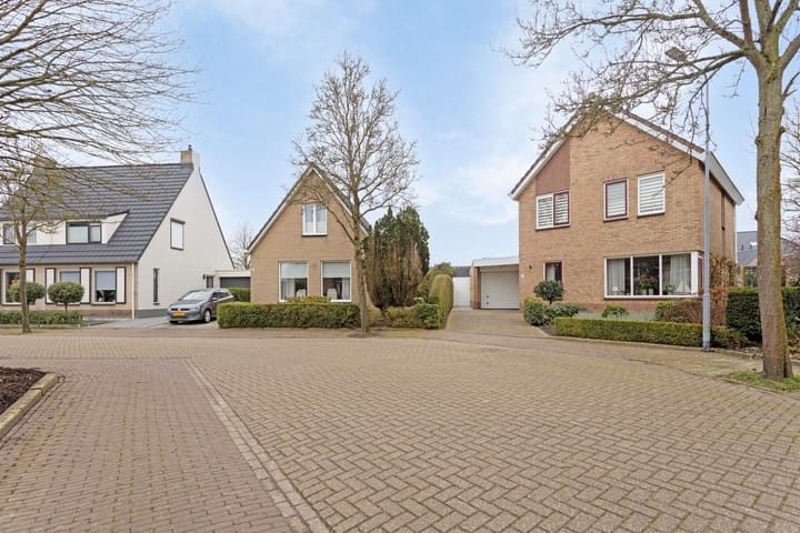 Photo 36 of Meestoof 6