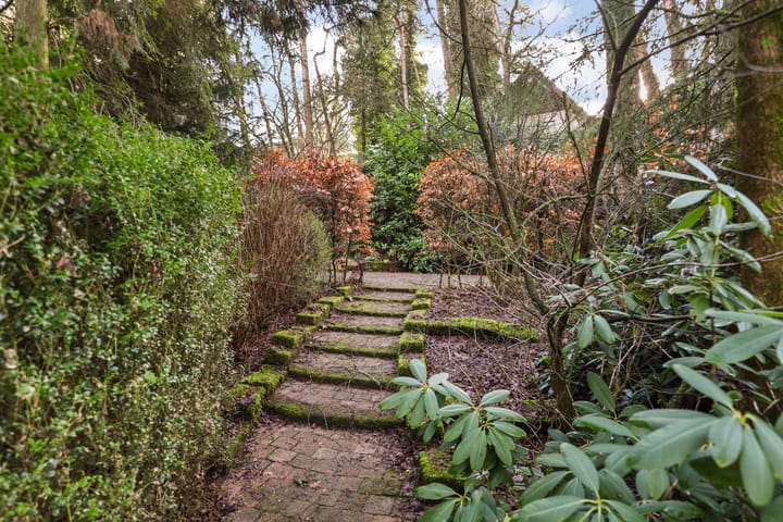 Foto 2 van Lage Bergweg 41-2