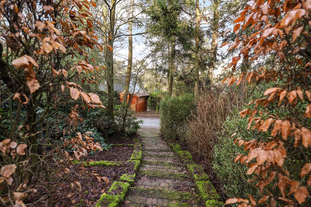 Photo 17 of Lage Bergweg 41-2