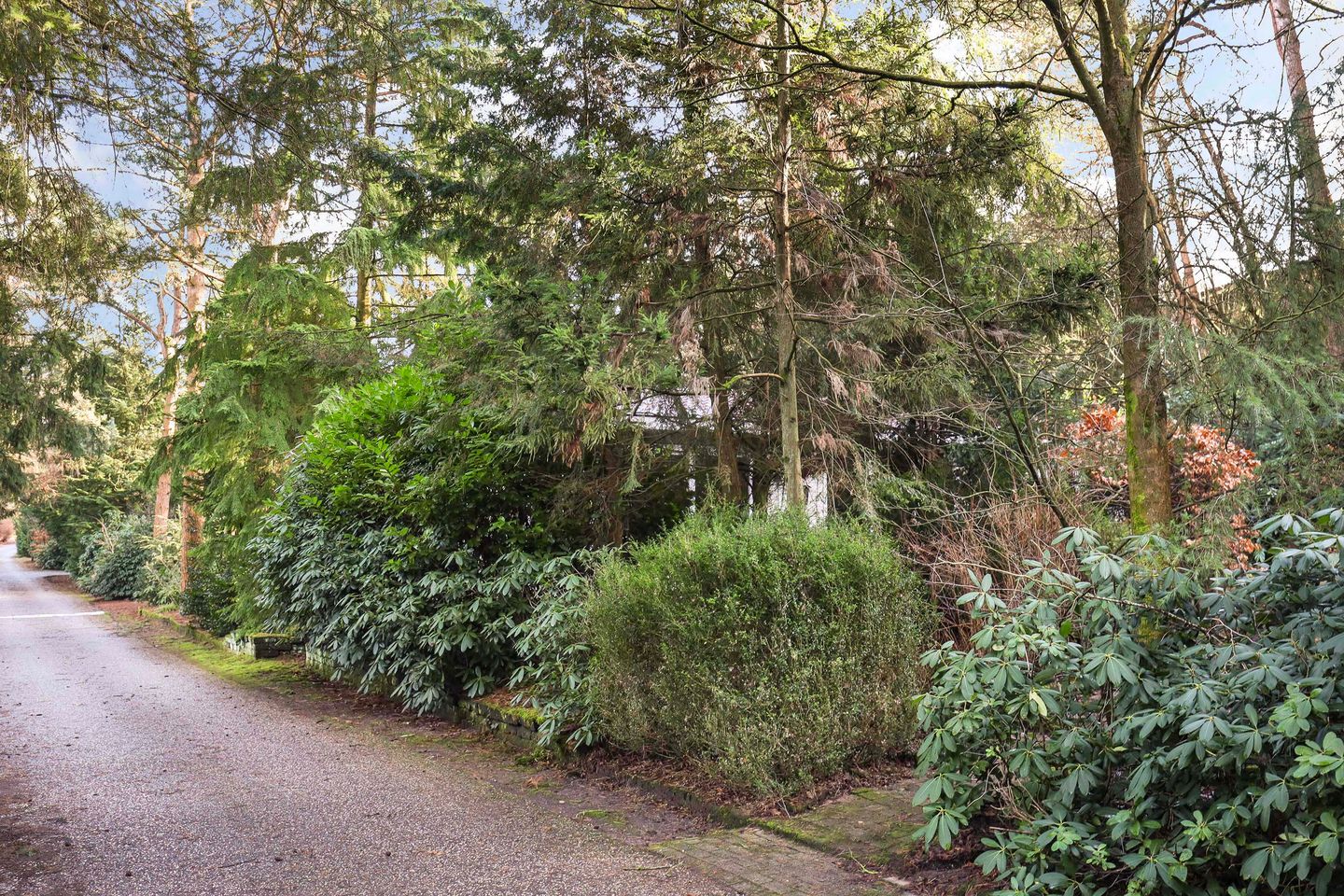 Photo 10 of Lage Bergweg 41-2