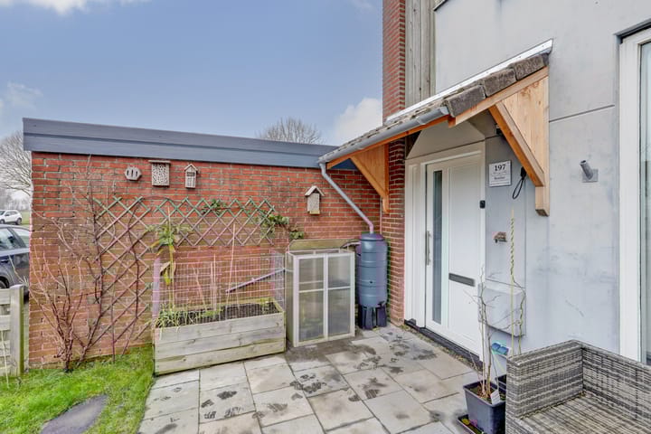 Foto 7 van Kanariesprenk 197