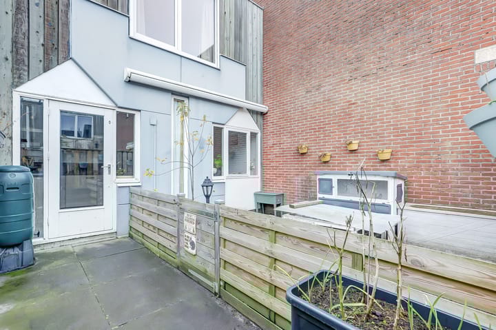 Foto 24 van Kanariesprenk 197