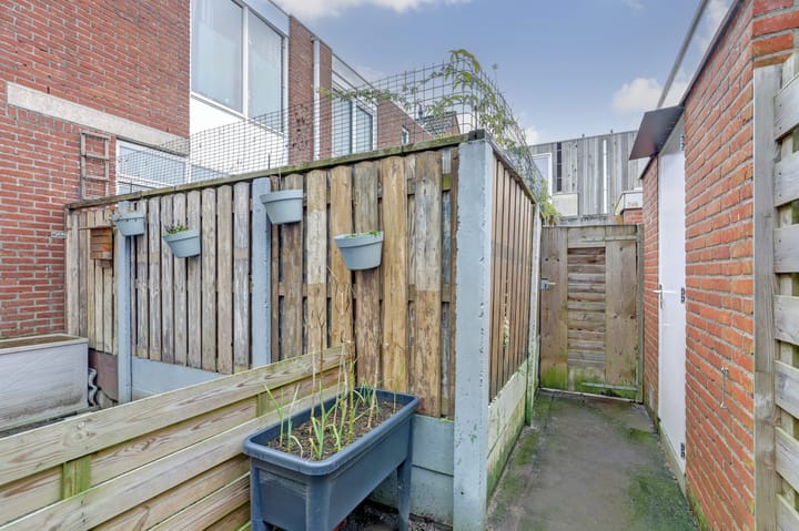 Foto 25 van Kanariesprenk 197