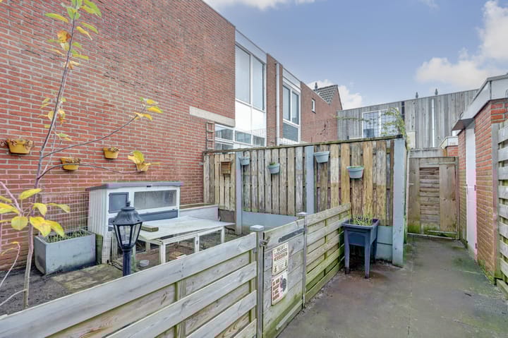 Foto 26 van Kanariesprenk 197