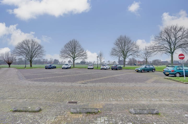 Foto 27 van Kanariesprenk 197