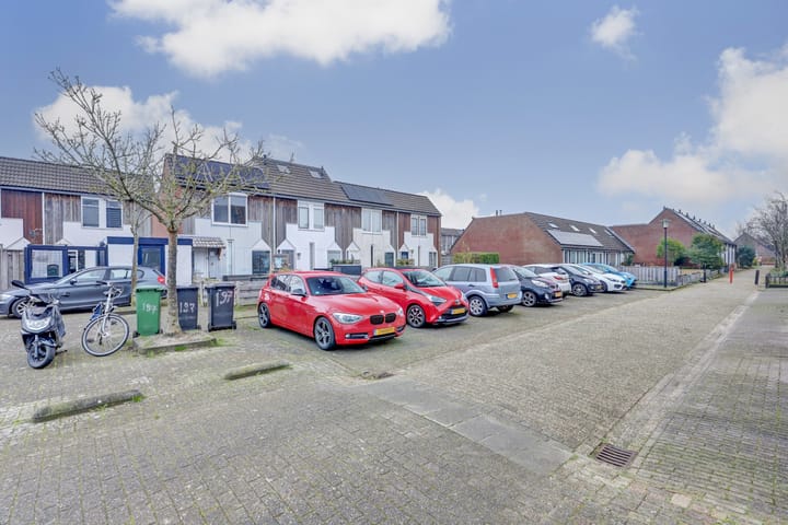 Foto 29 van Kanariesprenk 197