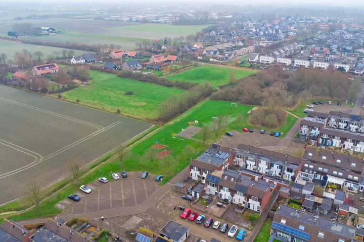 Foto 30 van Kanariesprenk 197