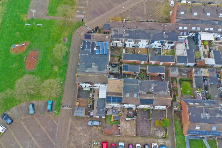 Foto 31 van Kanariesprenk 197