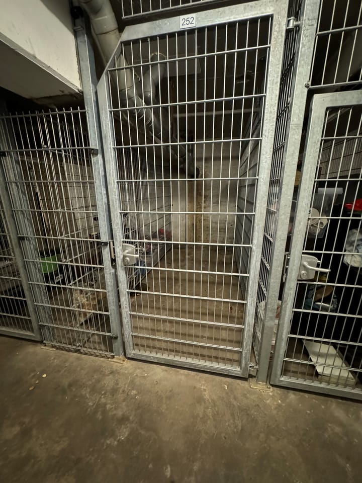 Foto 19 van Europalaan 252