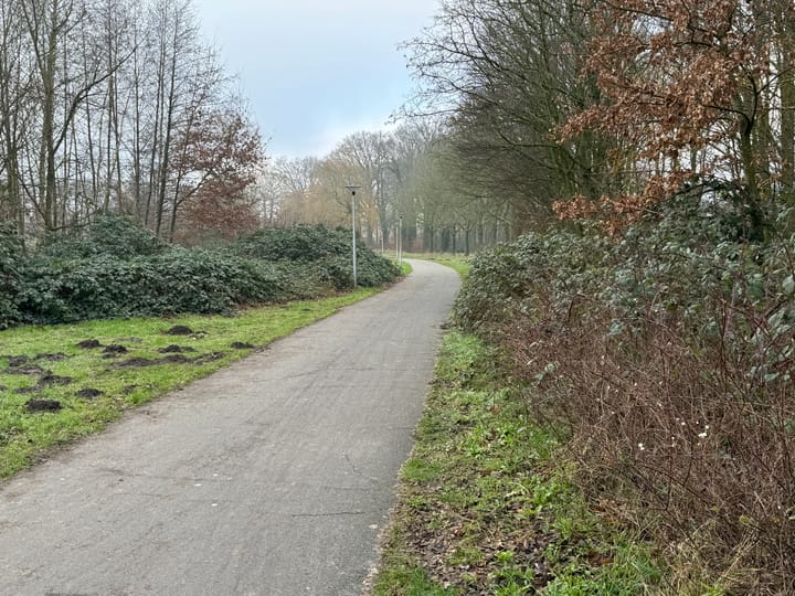 Foto 26 van Europalaan 252